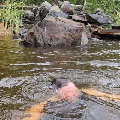 Kolme vettä: etelä, pohjoinen, muuttuva